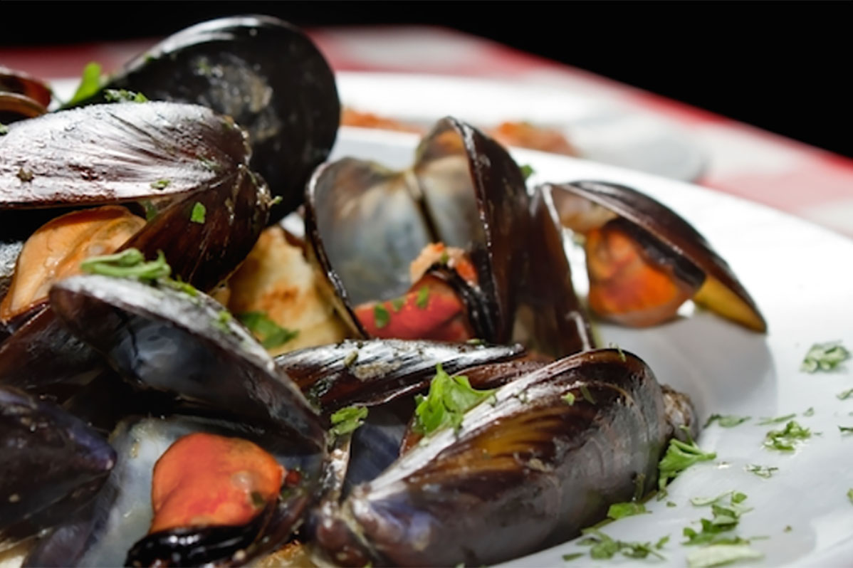 Alla Scoperta della Cozza Selvaggia: Il Gioiello di Marina di Ravenna